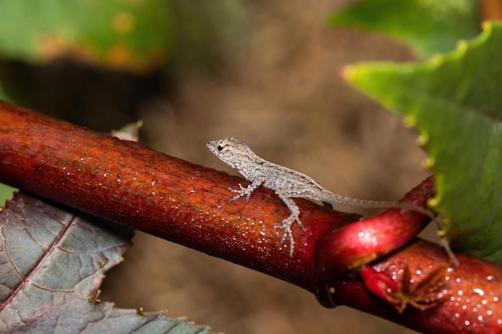 Photograph by Анатолий Костерев
