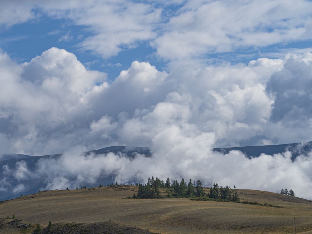 Photograph by Надежда Михайлина