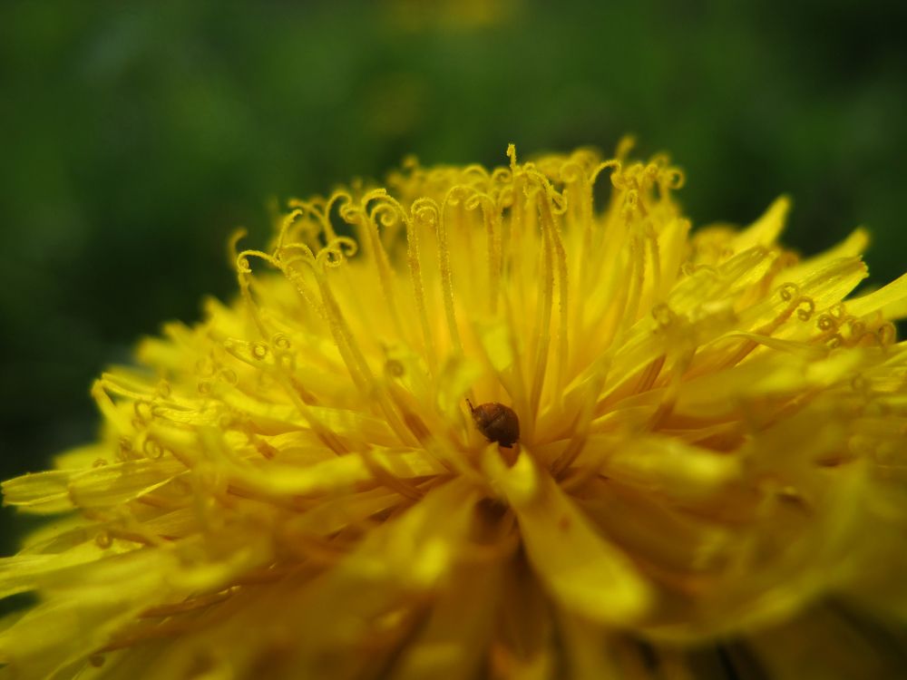 Photograph by Анастасия Пухова