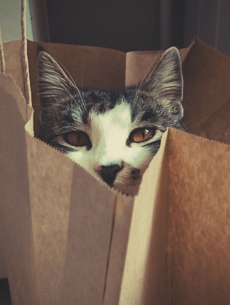Photograph by Диана Пустынцева