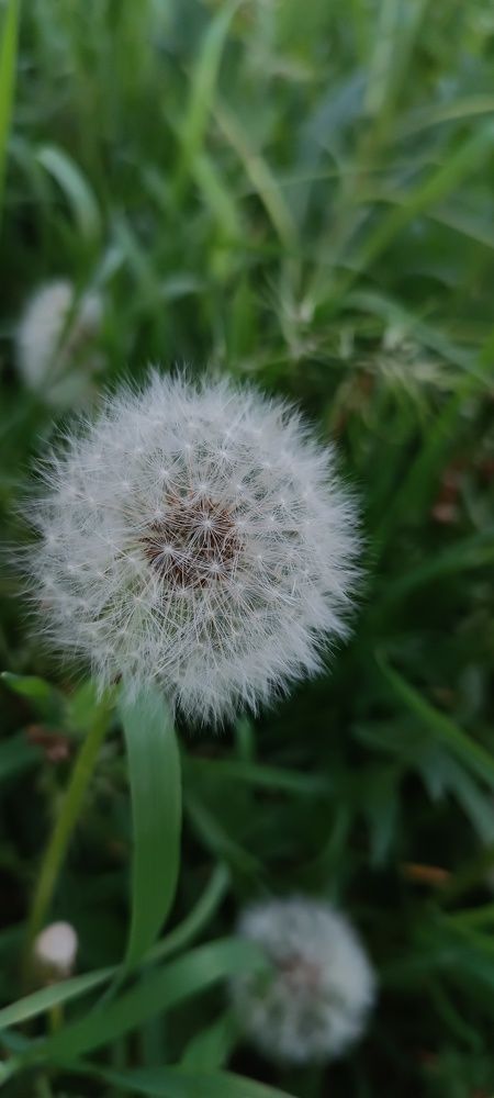 Photograph by Лидия Кротько