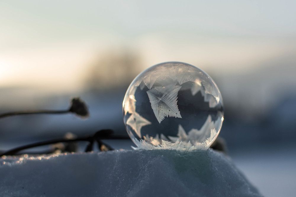 Photograph by Людмила Прибылова