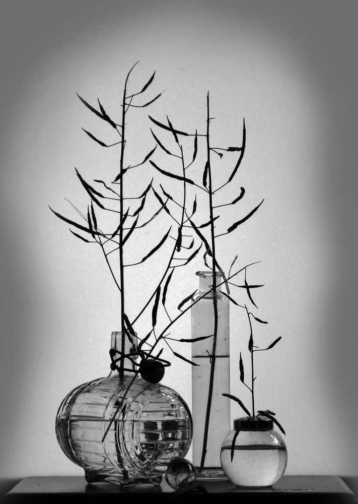Photograph by 