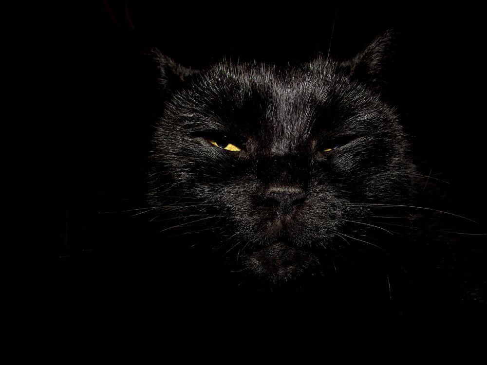 Photograph by Анастасия Пухова