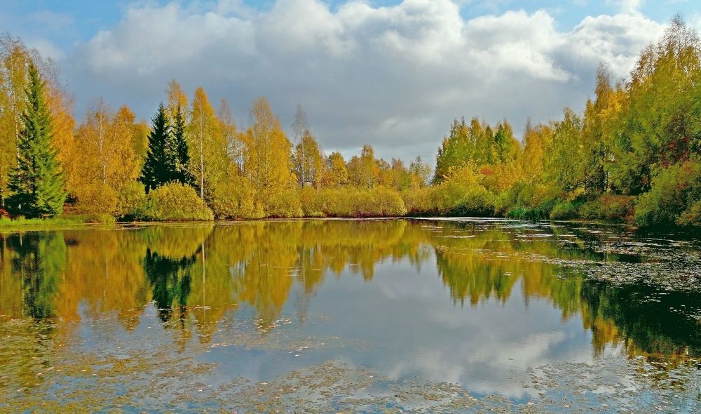 Photograph by Виктор Решетников