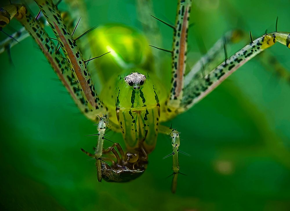 Photograph by soumya sahu