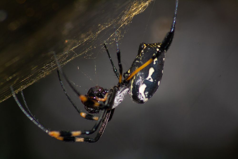 Photograph by Michelle Hart