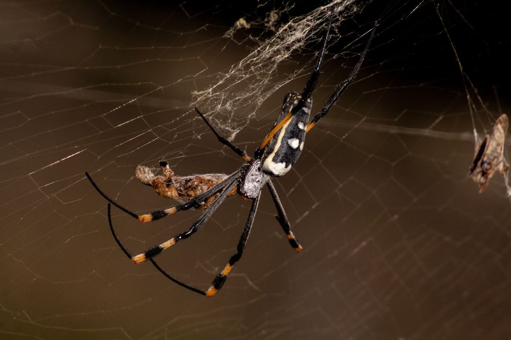 Photograph by Michelle Hart