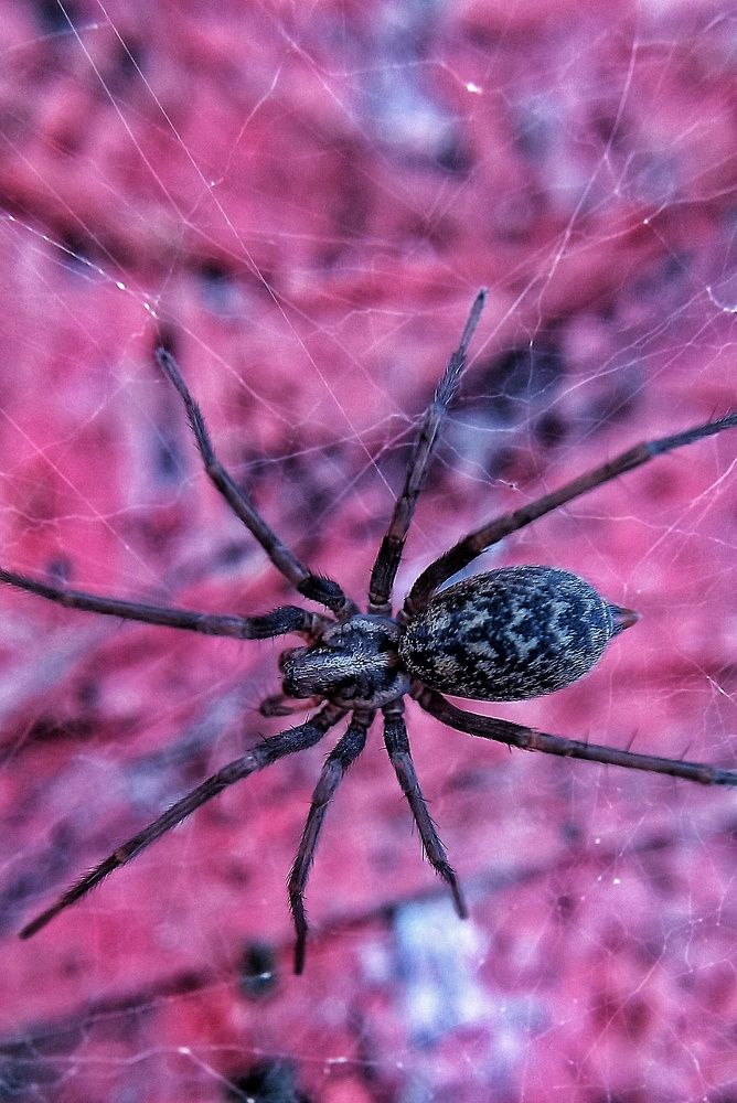 Фотография автора Марина Новикова