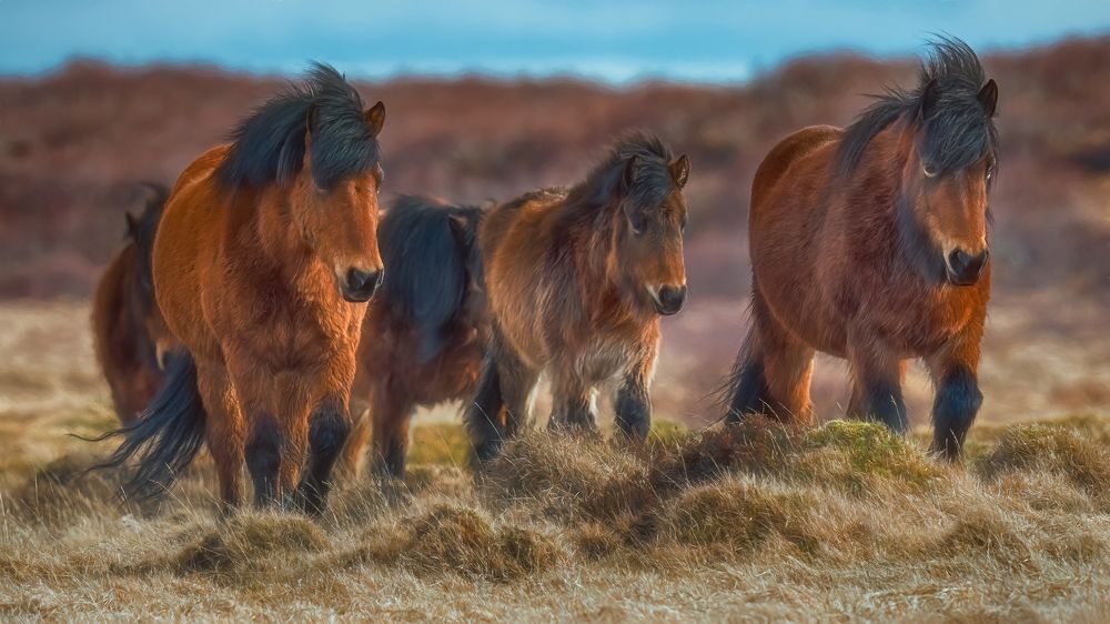 Photograph by Шварцман Евгений