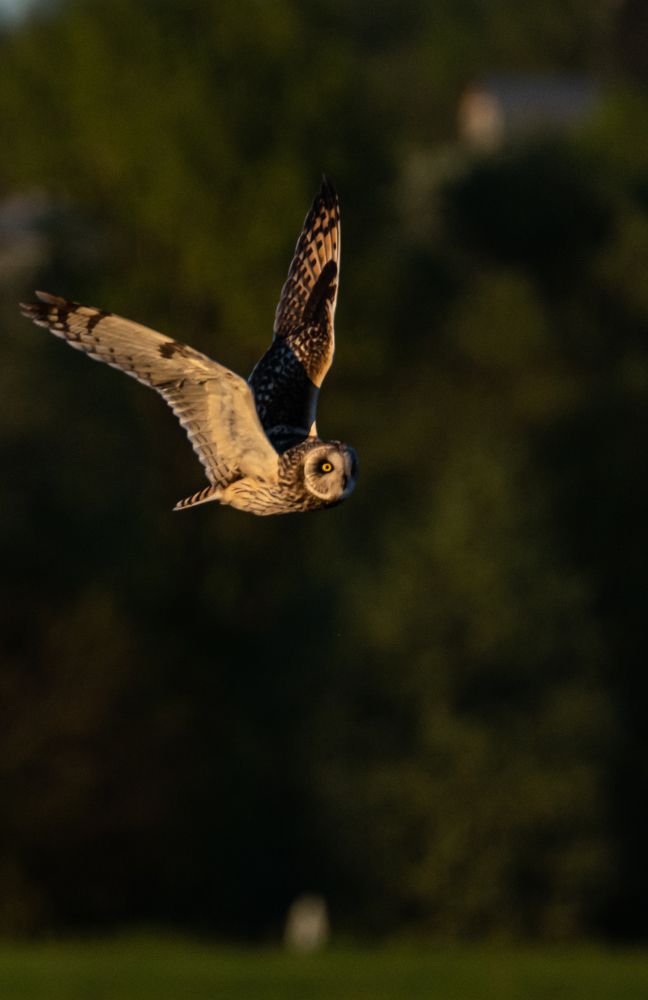 Photograph by Владимир Коновалов