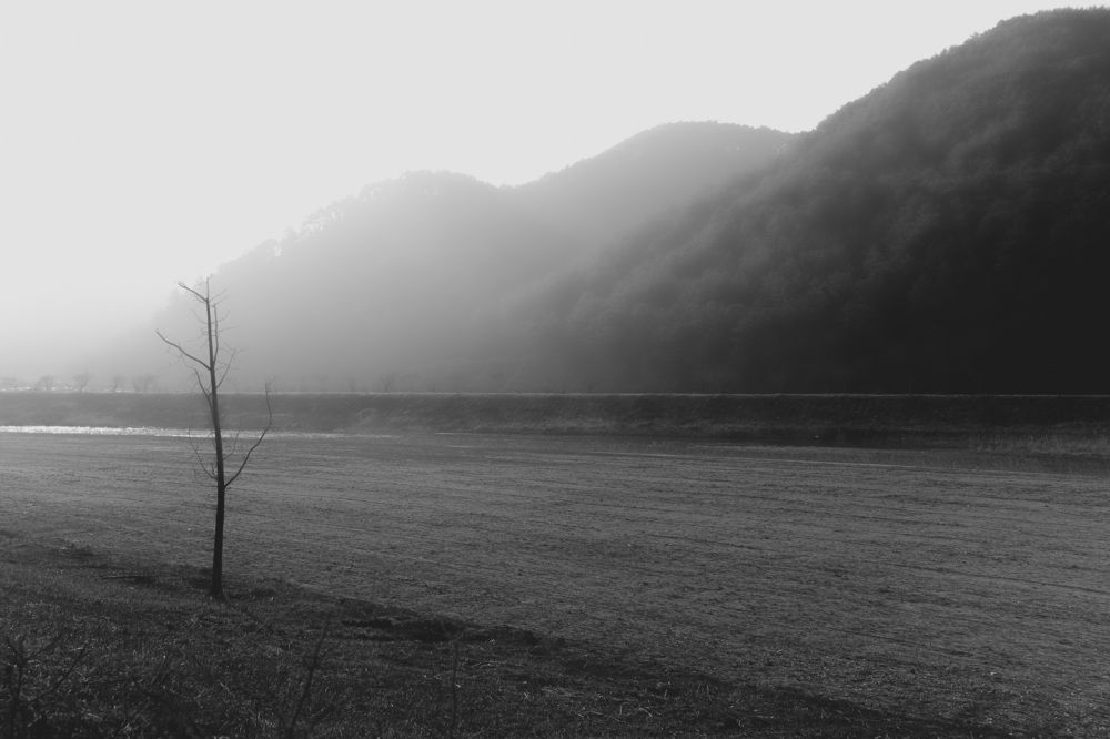 Photograph by Hwan Lee