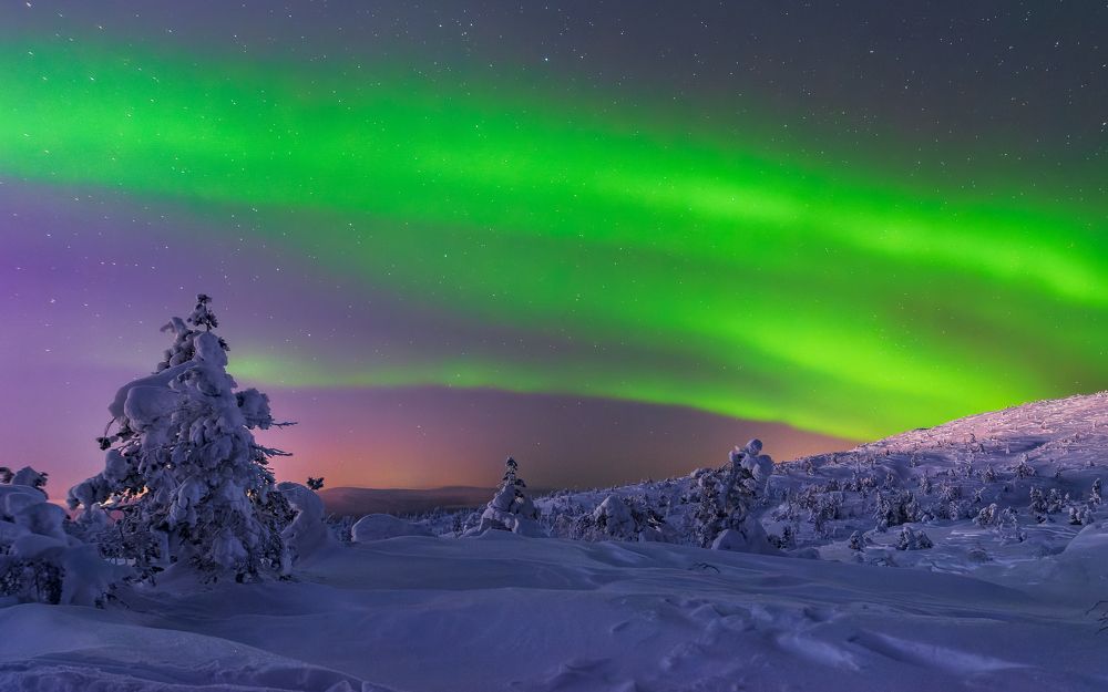 Photograph by Мика Петров