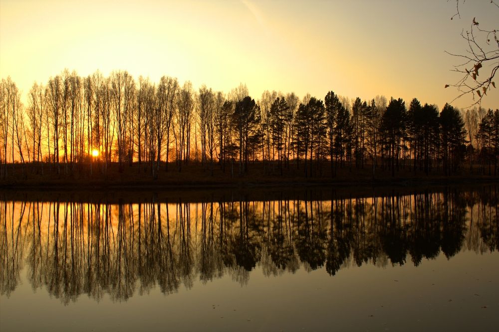 Photograph by Галина Мазур