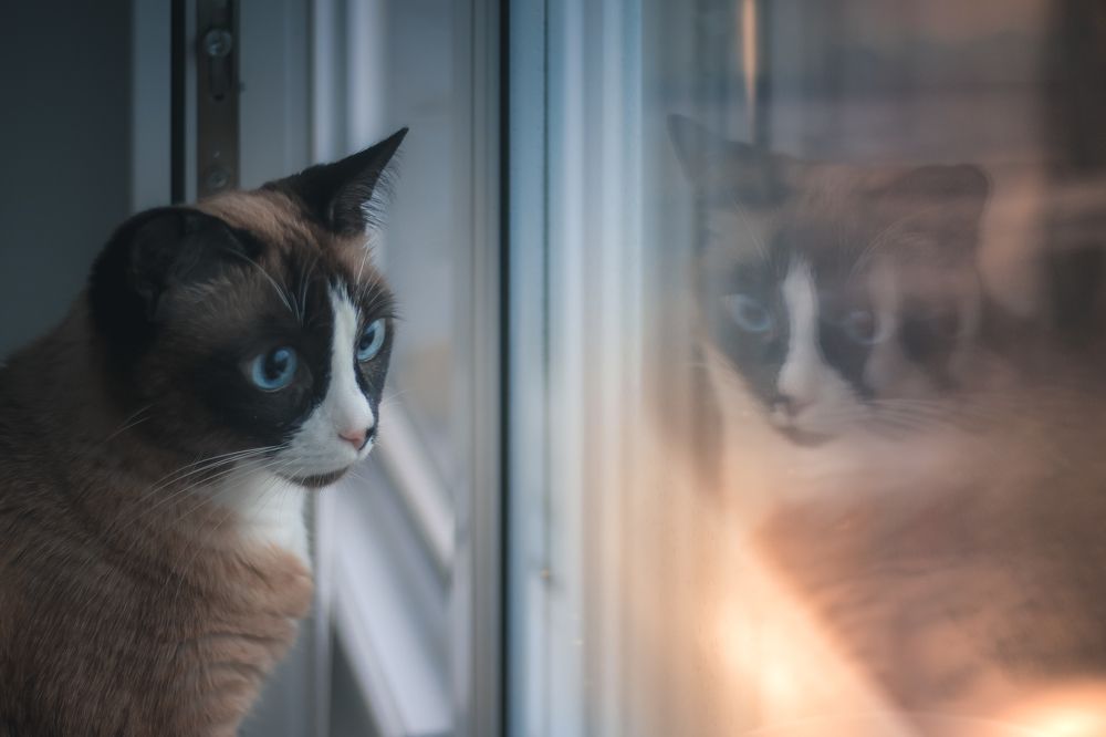 Photograph by Юлия Крюкова