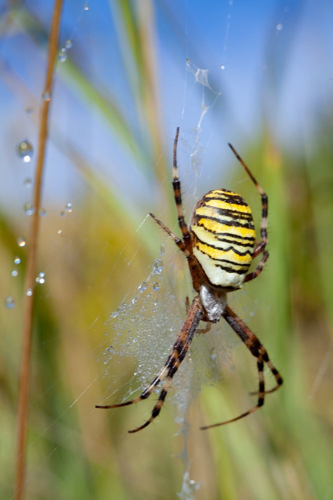 Photograph by Соболева Яна