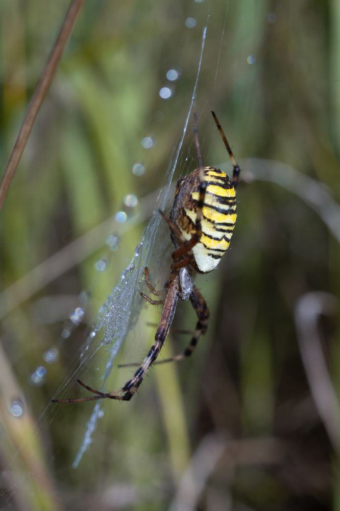 Photograph by Соболева Яна