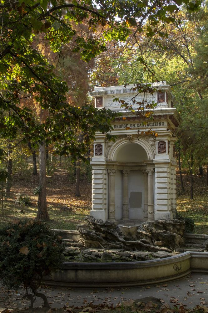 Photograph by Silviu Cojanu