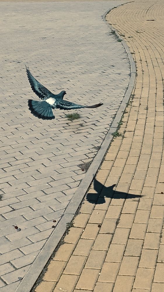 Photograph by Елена Кадаева
