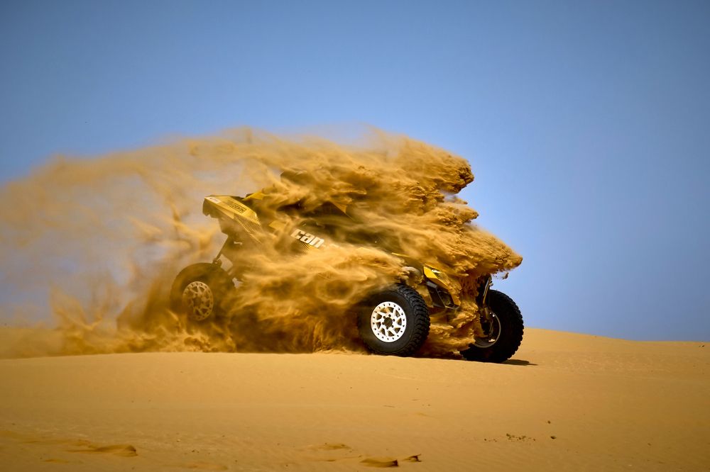 Песчаный дракон