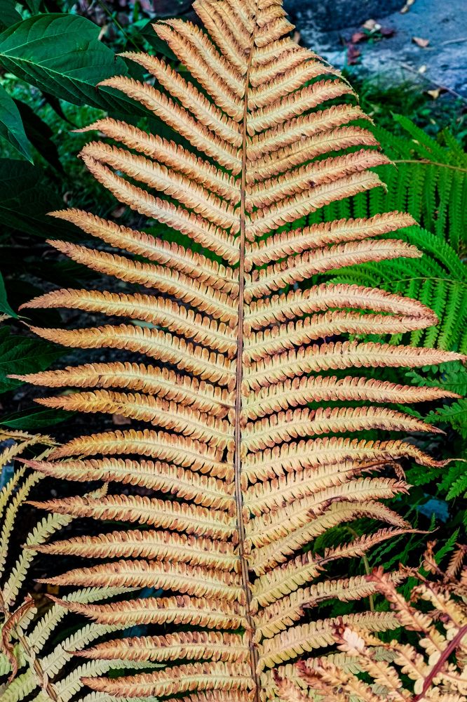 Photograph by Владимир Сушкин