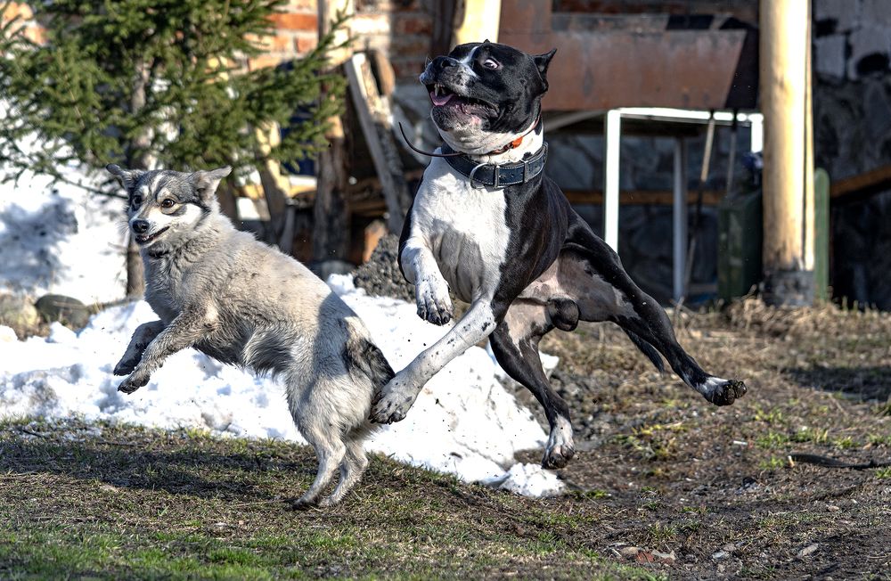 Фотография автора Андрей Жданов
