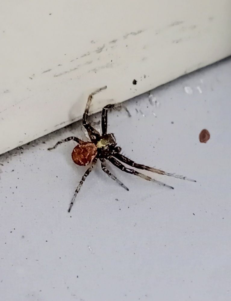 Photograph by Sergey Kurkov-Tarkovsky