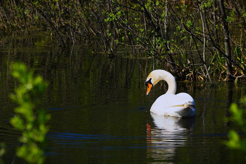 Photograph by Гагик Саркисян