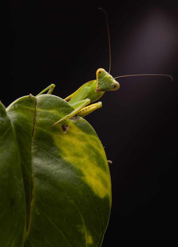 Photograph by Александр Иванов