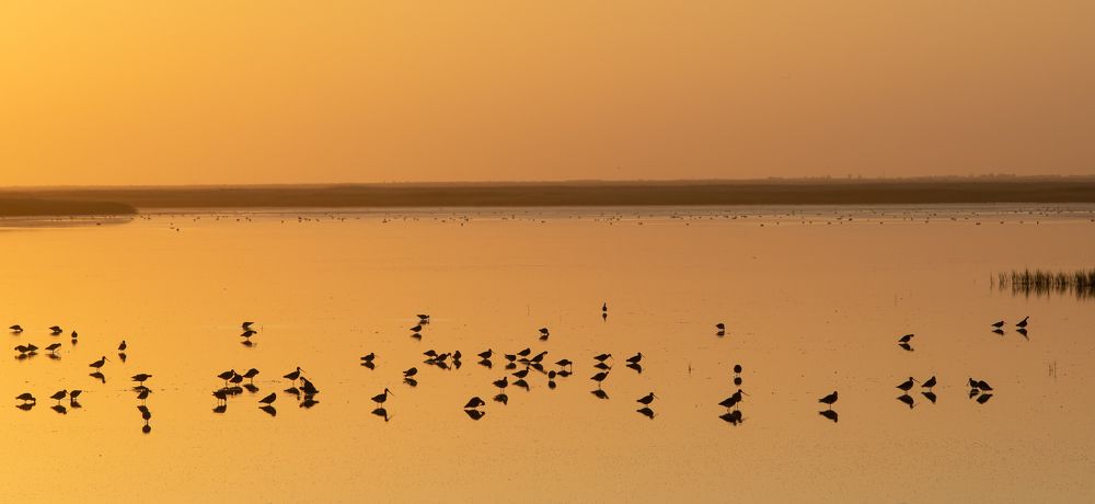 Photograph by Александр Иванов