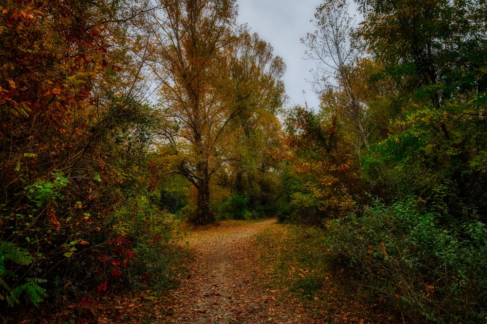 Photograph by Владимир Кваша