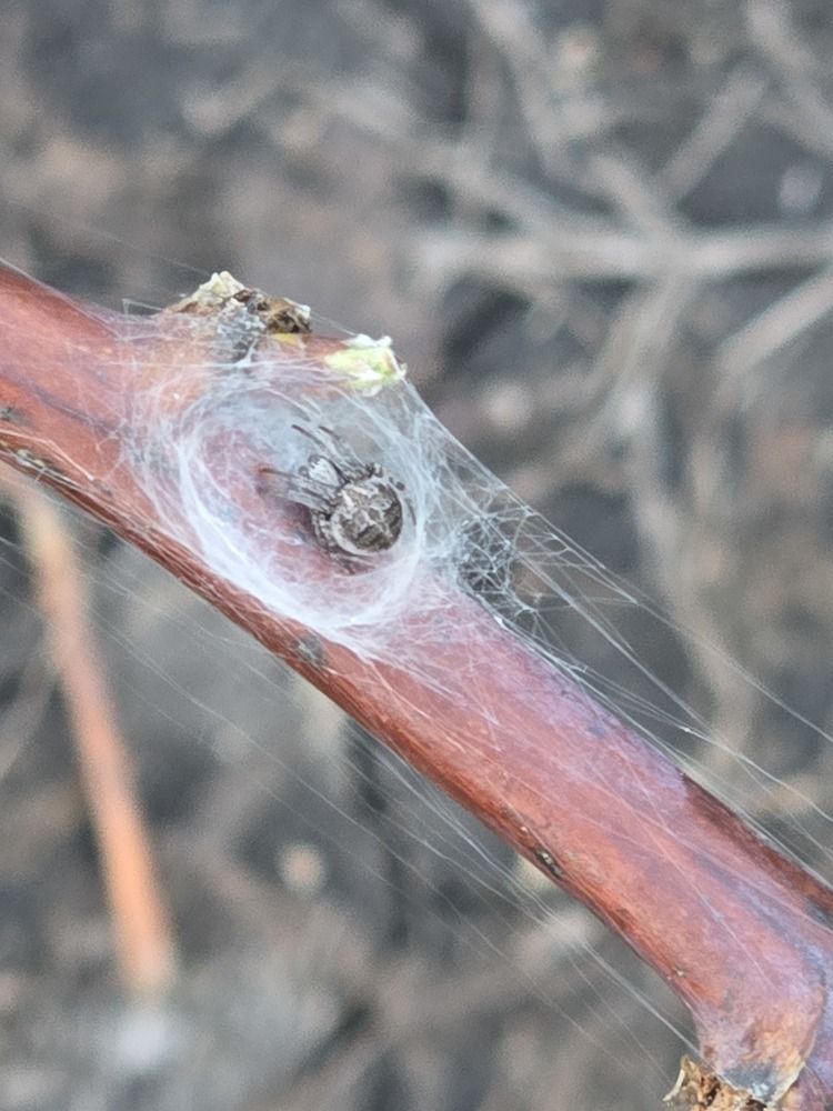 Photograph by Елена Сиушова