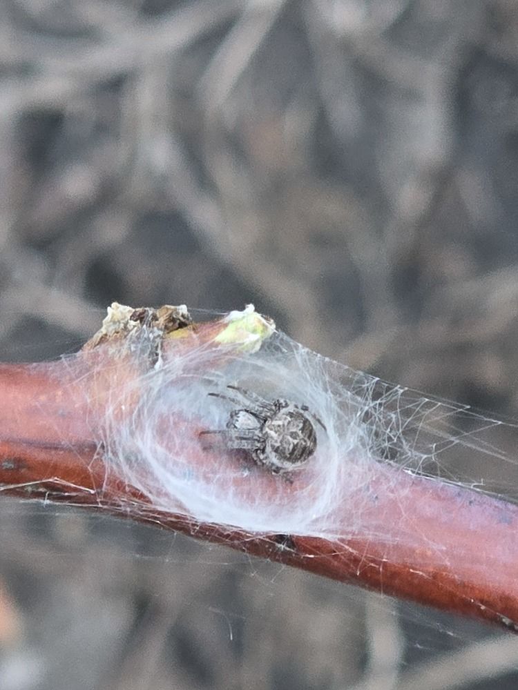 Photograph by Елена Сиушова