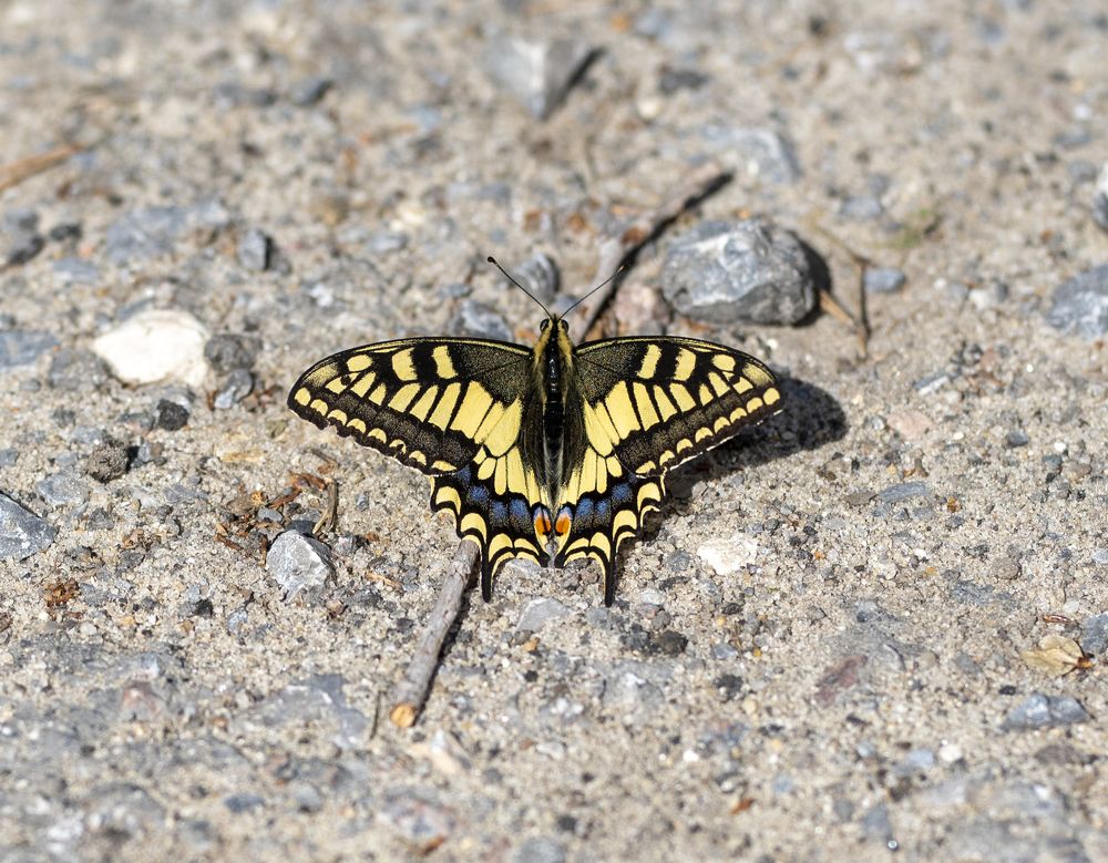 Фотография автора Дмитрий Кетов