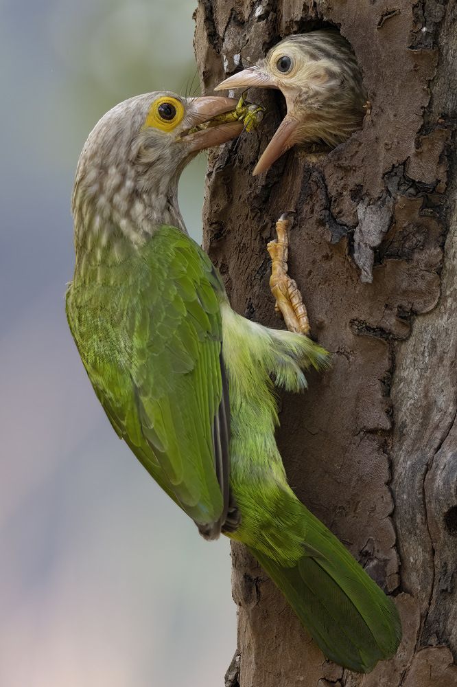 Photograph by Hnin wuti yee