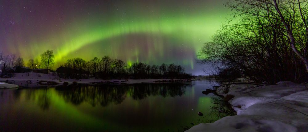 Photograph by Vera Komarova