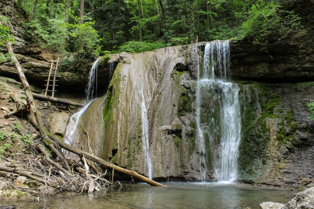 Photograph by Ирина Дмитриенко