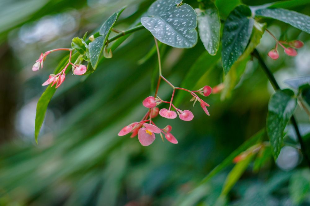 Photograph by Наталья