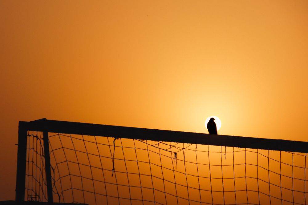 Photograph by Lyudmila Klimanova