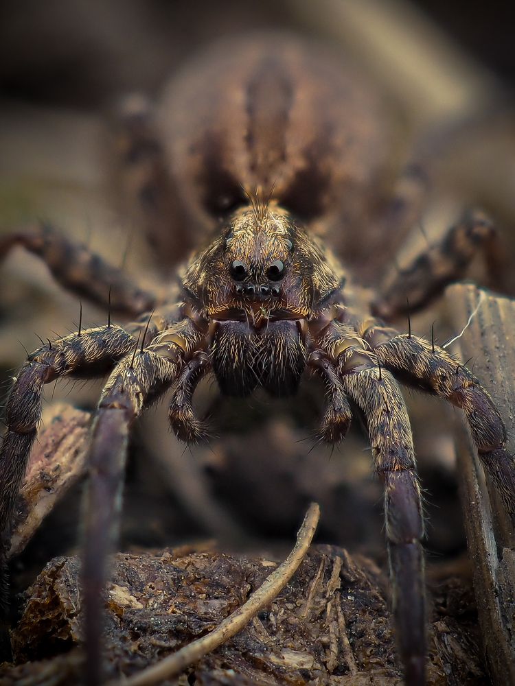 Photograph by Юрий Говорков