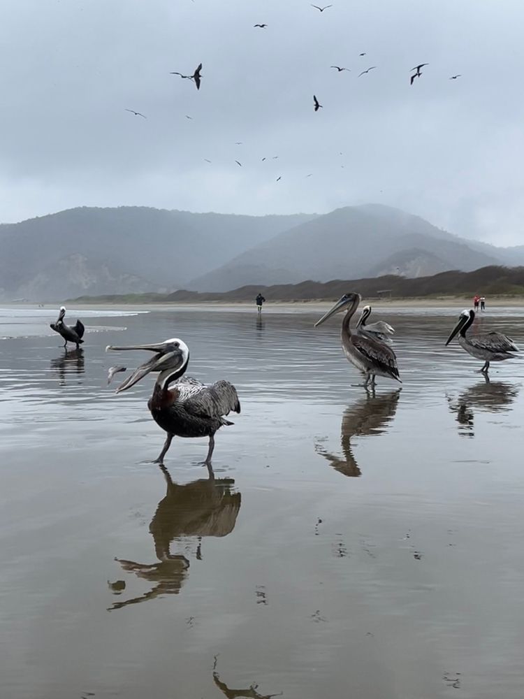 Photograph by Дарья Гаврилова