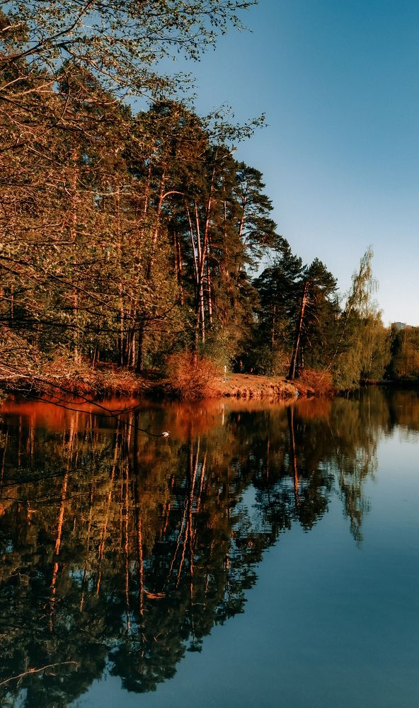 Фотография автора Медведева Елена