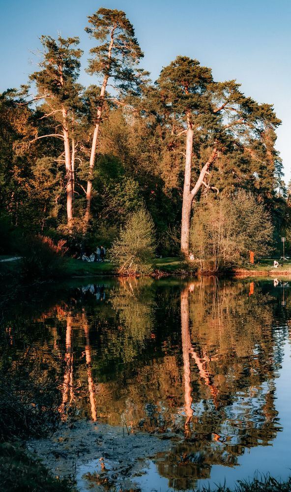 Фотография автора Медведева Елена