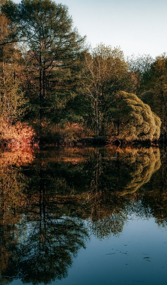 Фотография автора Медведева Елена