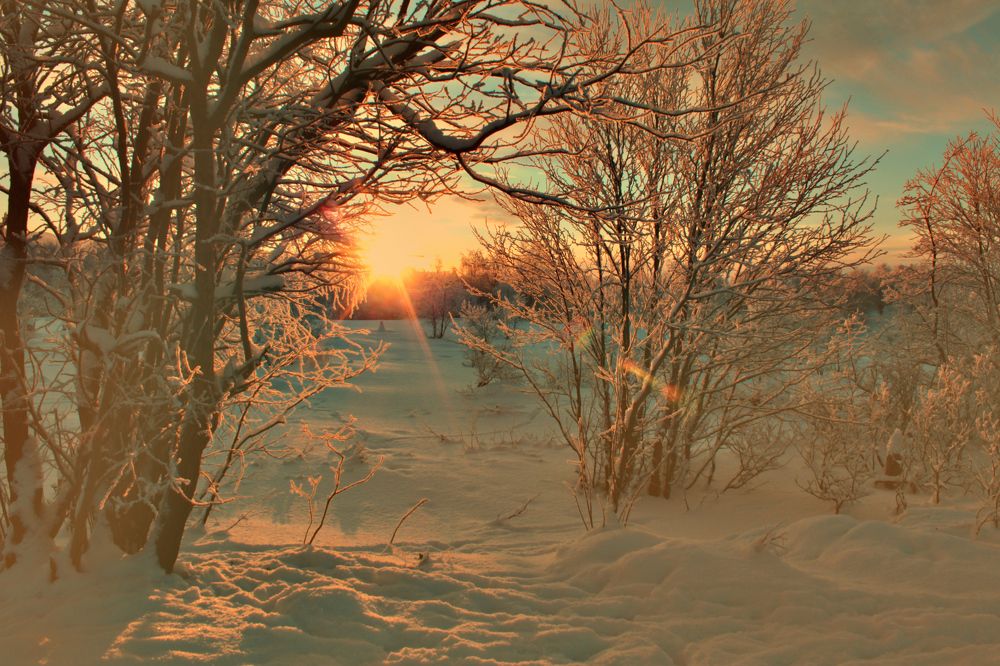 Photograph by Ирина Чечкина