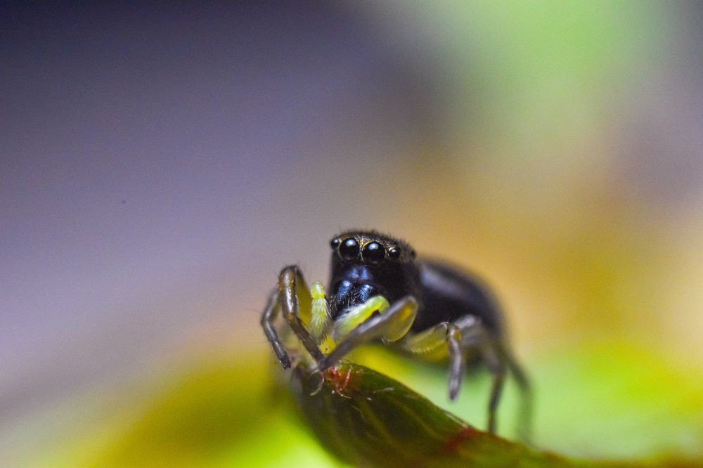 Photograph by Елена Манаева