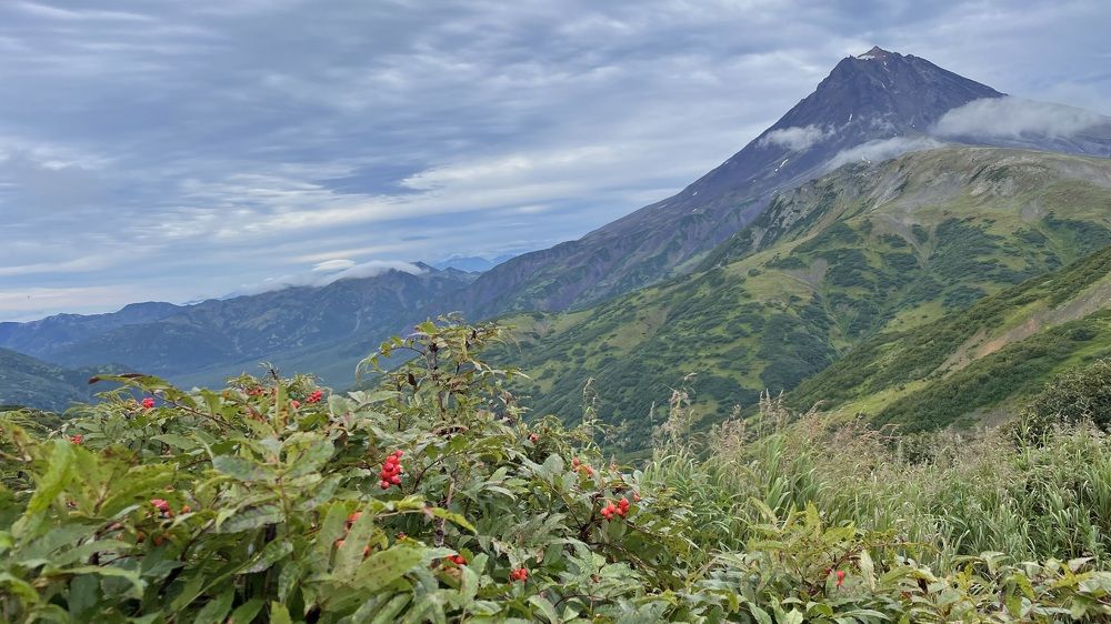 Photograph by Ольга Ильина