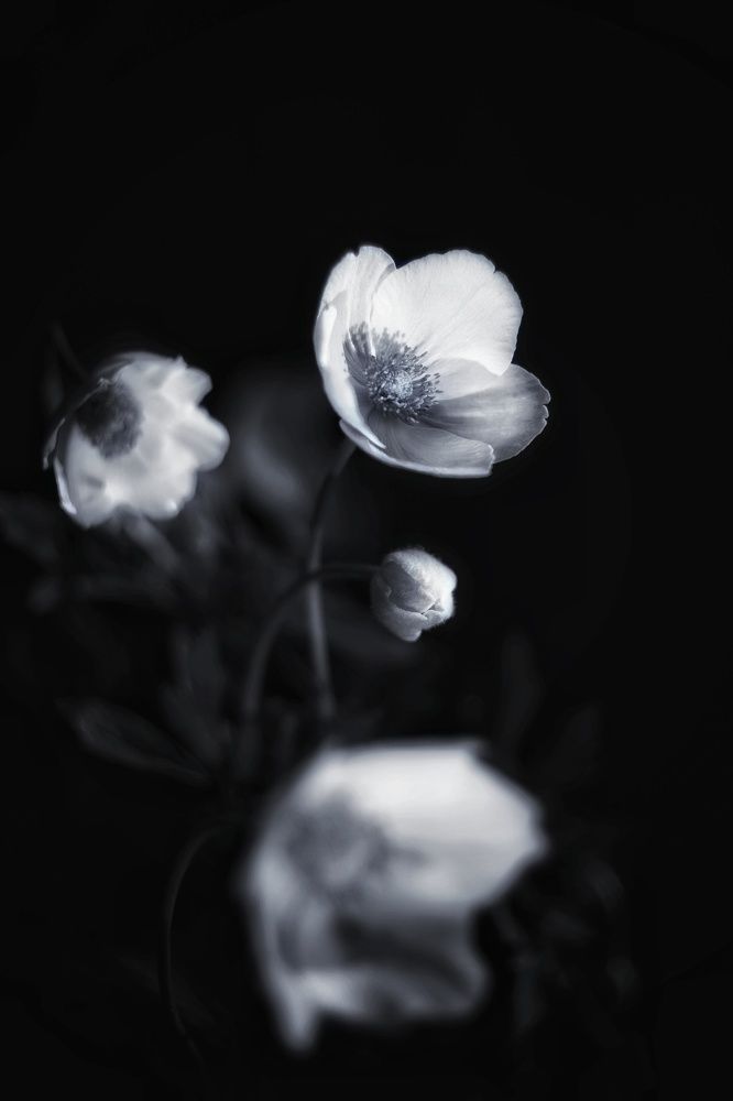 Photograph by Игорь Маслов