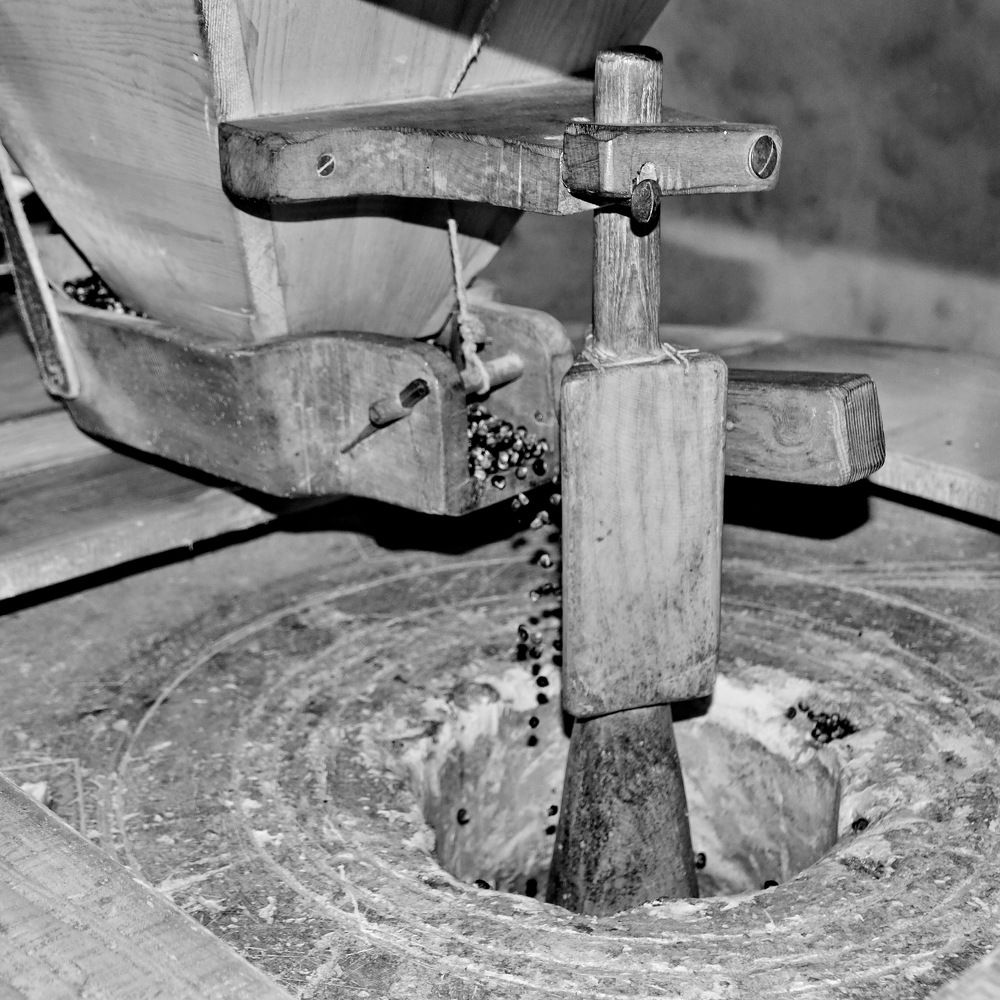 Photograph by Marzio Fattorini