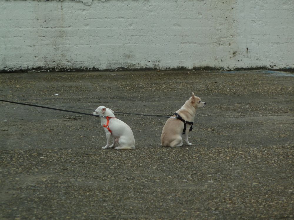 Photograph by Артём